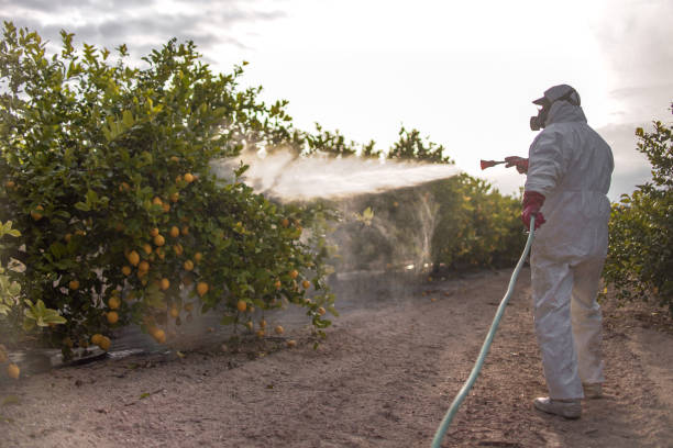 Pest Control for Restaurants in Dunstan, ME